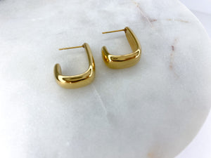 Hooked earrings